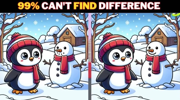 Brain Teaser Spot the Difference Game: Try and spot 3 differences in the Penguin and Snowman picture in 12 seconds!