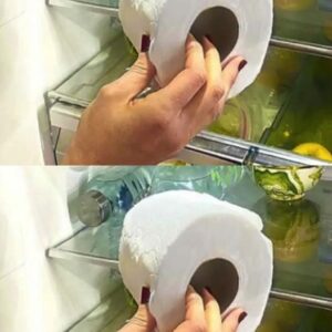 Why Is It Important To Store Toilet Paper In The Refrigerator? A Little-Known Secret