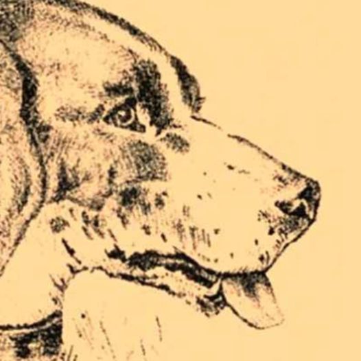 “Optical Illusion Vision Test”: Find Dog’s Master in 7 Seconds!Optical illusions, like this one, are fun and good for the brain.