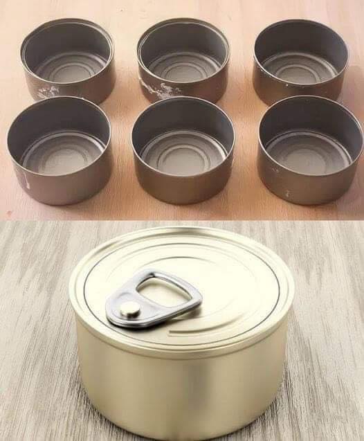 Don’t throw away tuna cans, at home they are worth their weight in gold: how to reuse them