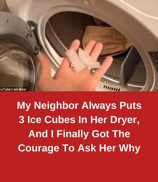 My Neighbor Always Puts 3 Ice Cubes In Her Dryer, And I Finally Got The Courage To Ask Her Why. See it below 👇👇
