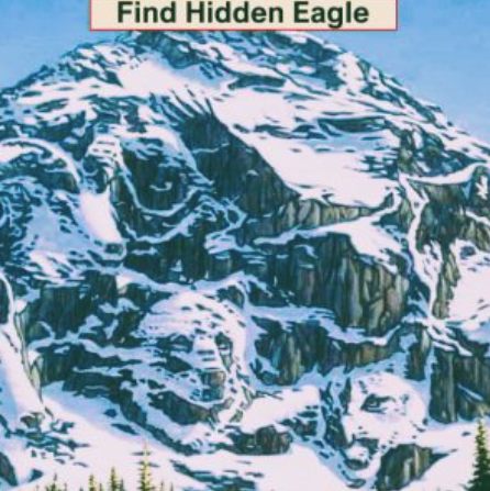 Find the Second Eagle in Five Seconds with the “Optical Illusion Challenge”