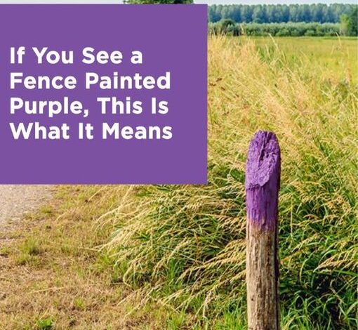 If You See a Painted Purple Fence, This Is What lt Means