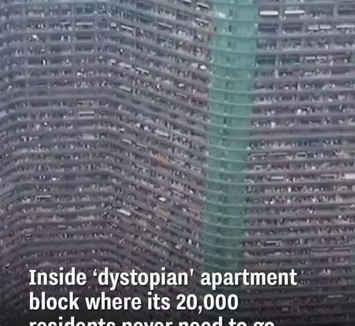 Inside a ‘Dystopian’ Apartment Block Where That Houses Over 20,000 Residence.