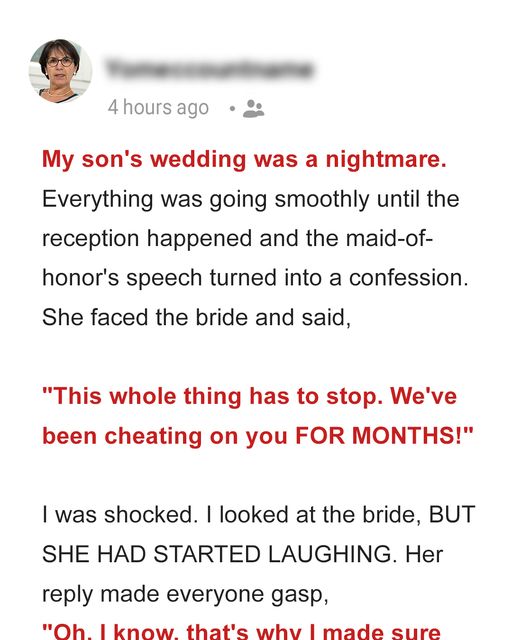 My Son’s Wedding Turned out to Be a Nightmare after the Maid-of-Honor’s Speech