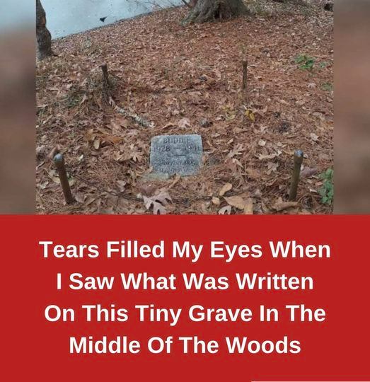 Tears Filled My Eyes When I Saw What Was Written On This Tiny Grave In The Middle Of The Woods
