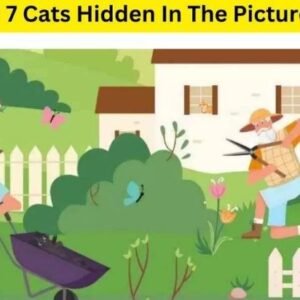 “Optical Illusion Challenge”: Find 7 Cats Hidden in the Picture!