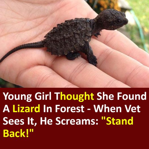 Young Girl Thought She Found A Lizard In Forest – When Vet Sees It, He Screams: “Stand Back!” 😱😱