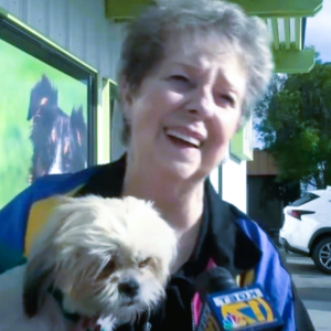 An 80-year-old woman spends the entire night waiting to adopt the ideal rescue puppy.