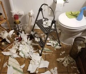 After my sister’s husband made a mess in the bathroom, I embarrassed him in front of everyone.