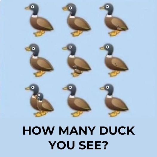 How many ducks are in the picture? The viral challenge sweeping the internet, explained