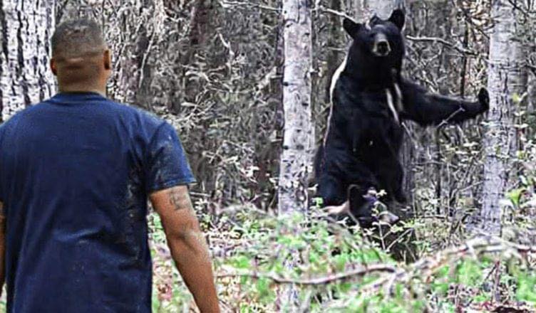 Mother Bear asks man for help, and then this happens…