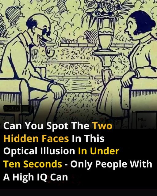 In ten seconds, can anyone find the two hidden faces?