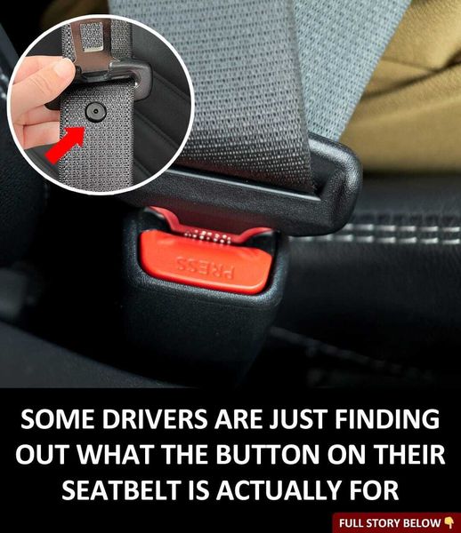 Some Drivers are Just Finding Out What the Button on their Seat Belt is for