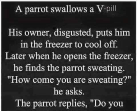 Parrot’s Hilarious Trouble with a “Special” Tablet!