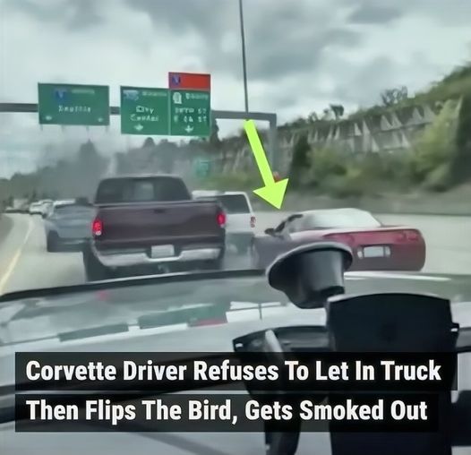 This Corvette driver must have definitely regretted flipping off the driver of this pickup truck. Here’s the video. Take a closer look and see for yourself. What do you think?